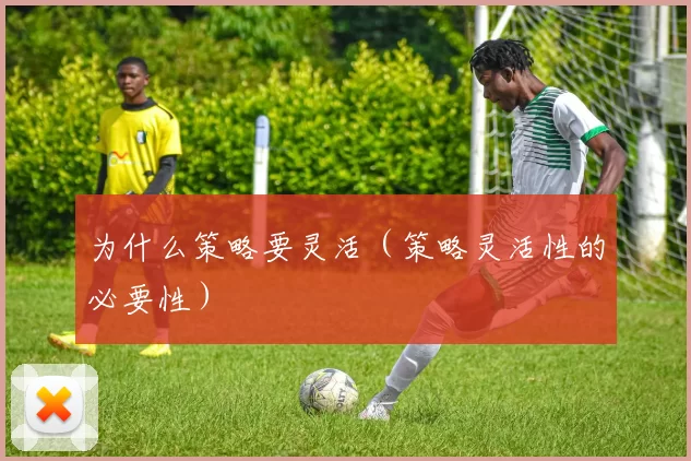 为什么策略要灵活（策略灵活性的必要性）