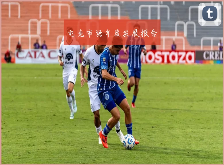 电竞市场年度发展报告