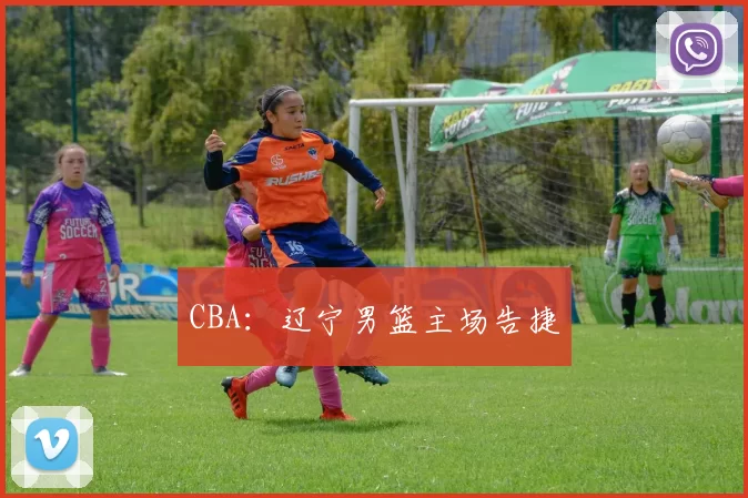 CBA：辽宁男篮主场告捷