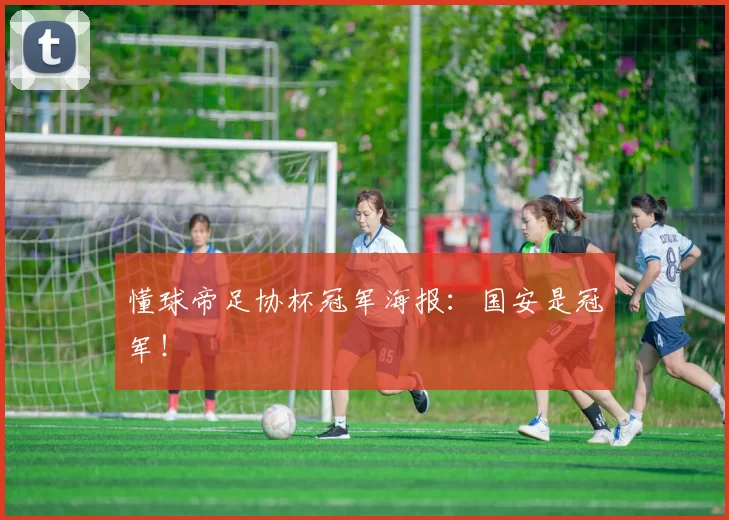 懂球帝足协杯冠军海报：国安是冠军！