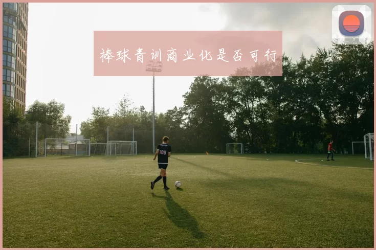 棒球青训商业化是否可行