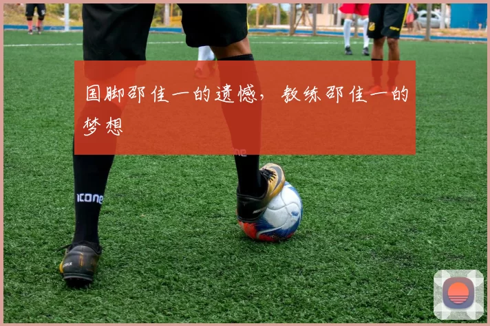 国脚邵佳一的遗憾，教练邵佳一的梦想