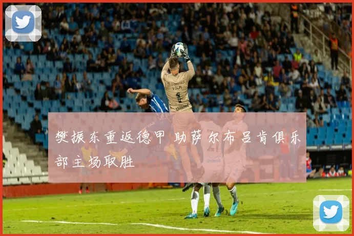 樊振东重返德甲 助萨尔布吕肯俱乐部主场取胜